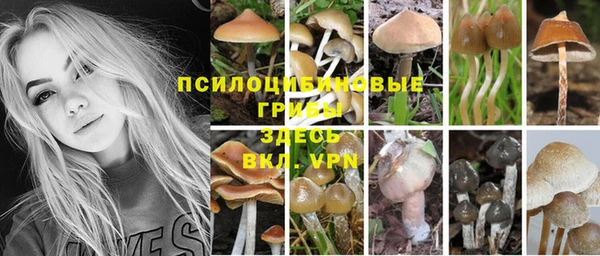 МДПВ Зеленокумск