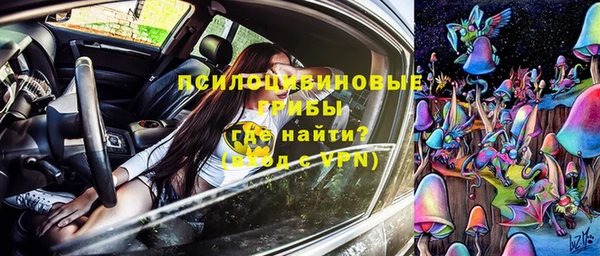 СК Россошь