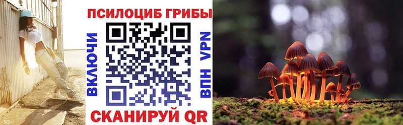 купить наркотики цена  Калач  Псилоцибиновые грибы мицелий 